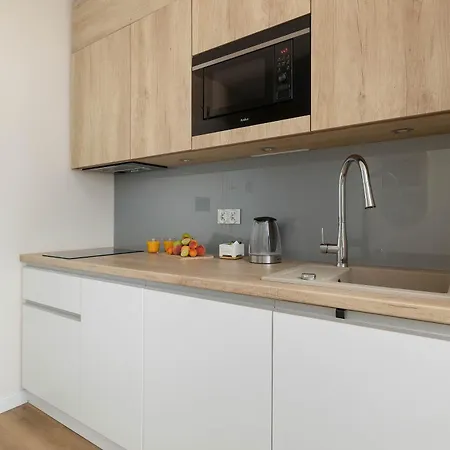 Apartman Comfortable With Balcony & Zone By Renters Zakopane